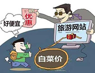 農村旅游網站建設及用戶體驗度的提高？